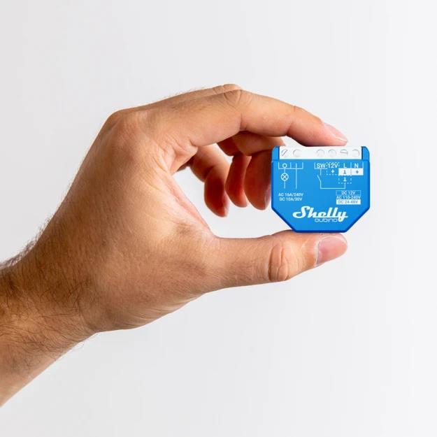 Shelly Qubino Wave 1