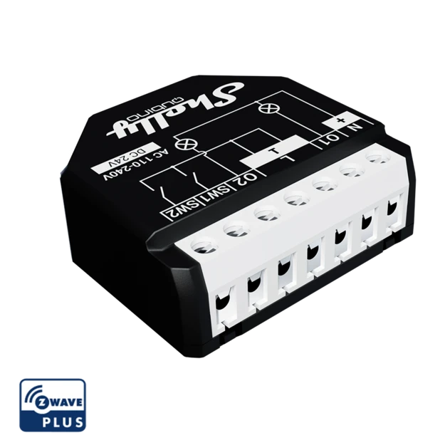 Shelly Qubino Wave 2PM