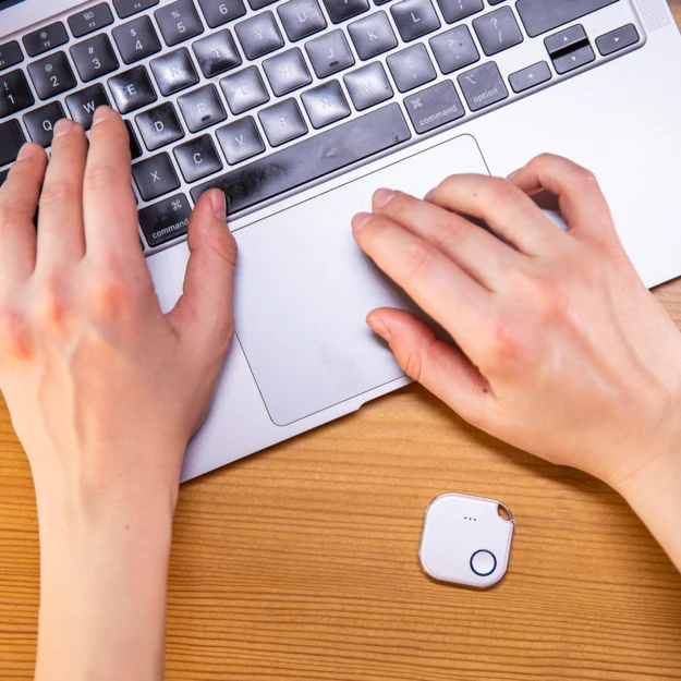 Shelly Blu Button1 Schwarz