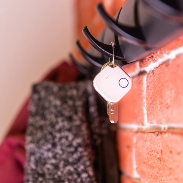 Shelly Blu Button1 Schwarz