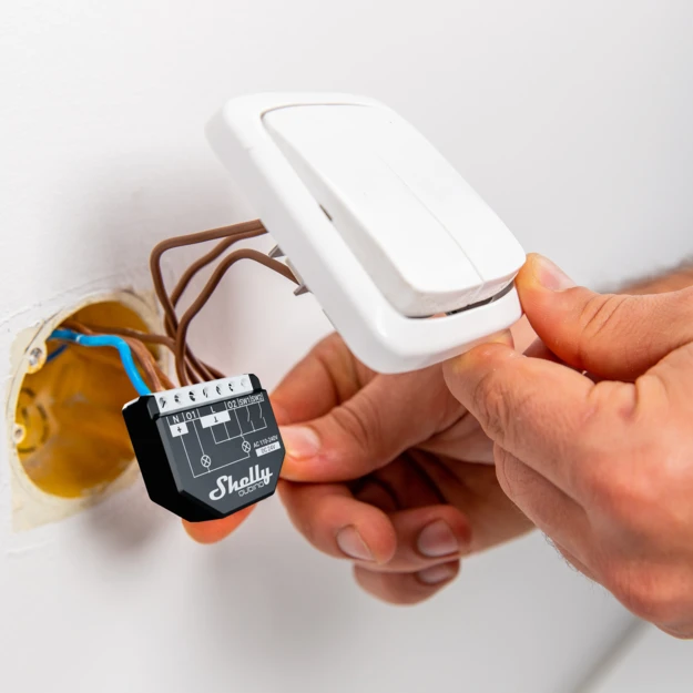 Shelly Qubino Wave 2PM Shelly Qubino Wave 2PM